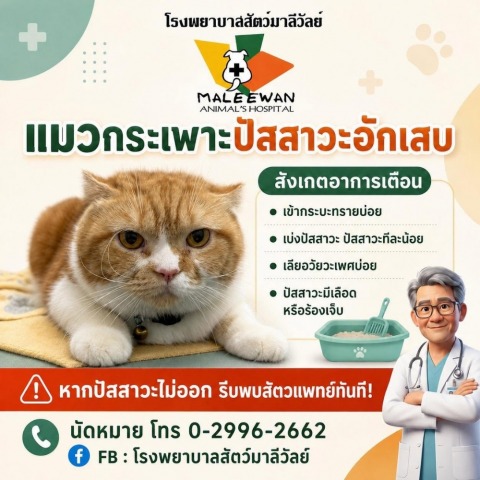 โรงพยาบาลสัตว์มาลีวัลย์ (15)